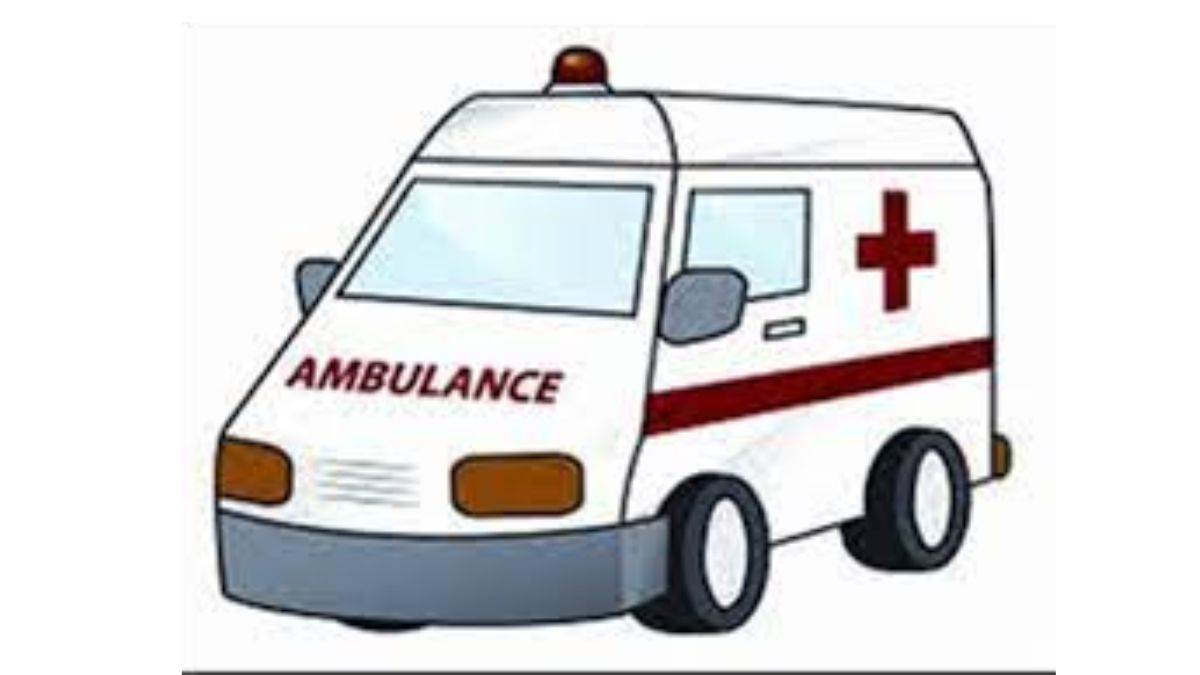 Bilaspur Information: 102 महतारी एक्सप्रेस गर्भवतियों के लिए बना वरदान