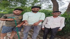Janjgir-champa Information : क्रोकोडायल पार्क से बाहर निकल रहे हैं मगरमच्छ के बच्चे