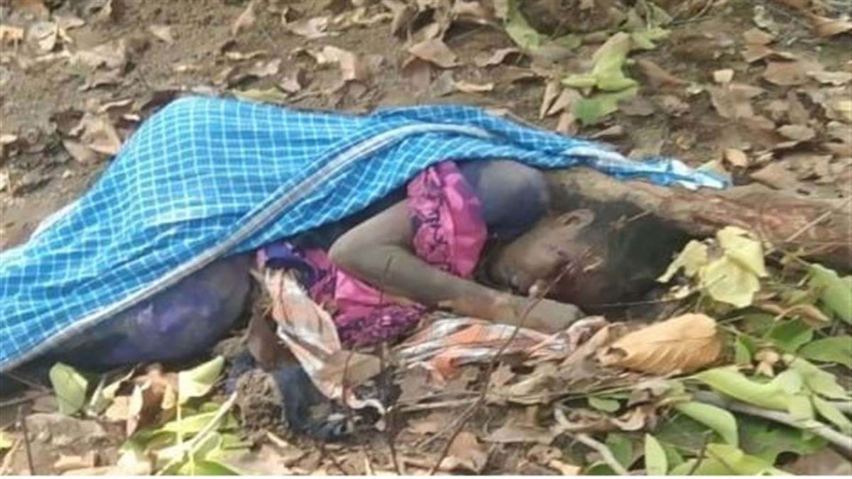 Korba Information: धान बीज लेने जा रही महिला की हाथी ने ली जान