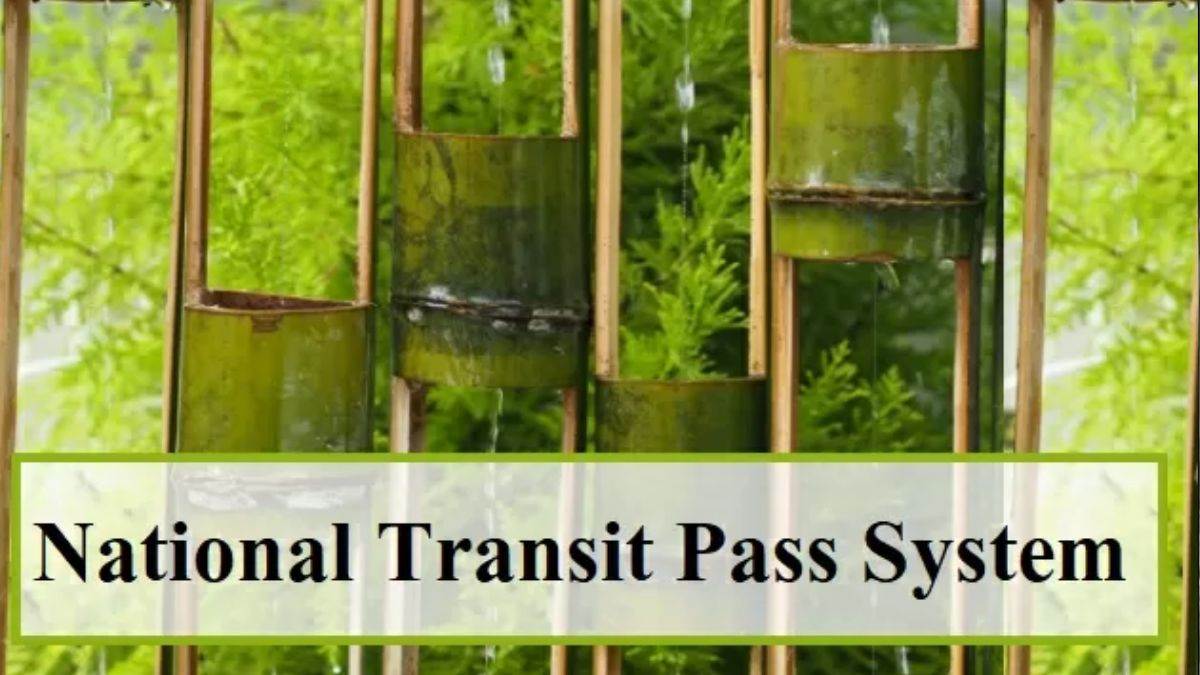 मप्र से देश में इमारती लकड़ी व बांस का कर सकेंगे निर्बाध परिवहन, ऑनलाइन मिलेगा नेशनल ट्रांजिट पास