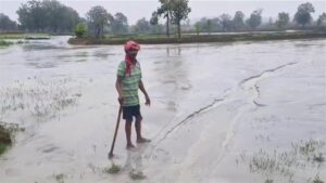 Korba Information: गड्ढे में पाटा गया राख वर्षा की पानी से बहकर पहुंचा खेतों में Korba Information: गड्ढे में पाटा गया राख वर्षा की पानी से बहकर पहुंचा खेतों में