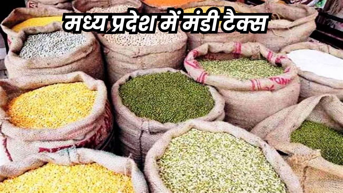 Mandi Tax in MP: बजट में मंडी टैक्स में नहीं मिली राहत, बार-बार की घोषणाएं अधूरी
