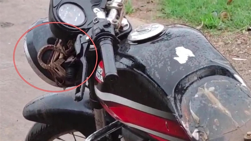 Seoni Information : चलती बाइक में सांप देखकर चालक के उड़े होश, हेडलाइट पर आकर बैठ गया
