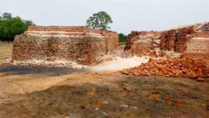 फल फूल रहा अवैध ईंटों का कारोबार, नहीं हो रही कार्रवाई फल फूल रहा अवैध ईंटों का कारोबार, नहीं हो रही कार्रवाई