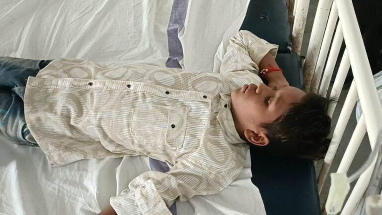 Betul Crime Information: अज्ञात वाहन की टक्कर से बाइक सवार पिता-पुत्र की मौत, नौ वर्षीय पोता घायल Betul Crime Information: अज्ञात वाहन की टक्कर से बाइक सवार पिता-पुत्र की मौत, नौ वर्षीय पोता घायल