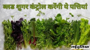 Diabetes: डायबिटीज के लिए चमत्कारी हैं ये पत्तियां, ब्लड शुगर लेवल को आसानी से कर लेंगी कंट्रोल Diabetes: डायबिटीज के लिए चमत्कारी हैं ये पत्तियां, ब्लड शुगर लेवल को आसानी से कर लेंगी कंट्रोल