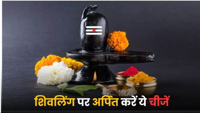 Margashirsha Amavasya 2024: शिवलिंग पर हल्दी सहित ये पांच चीजें करें अर्पित, घर में आएगी सुख समृद्धि Margashirsha Amavasya 2024: शिवलिंग पर हल्दी सहित ये पांच चीजें करें अर्पित, घर में आएगी सुख समृद्धि