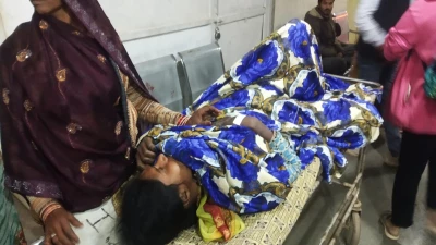 कोदो की रोटी खाने से 13 लोग बीमार, इसकी फसल खाने से हुई थी 10 हाथियों की मौत