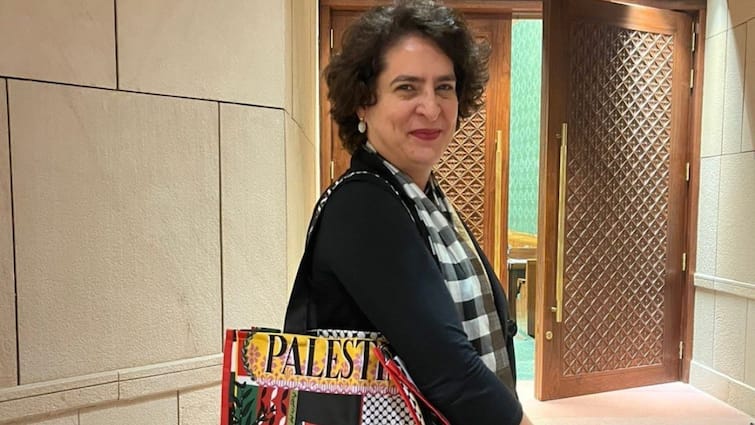 फिलीस्तीन ने बाग परिवार को लेकर जताई नाराजगी, बीजेपी बोली- ‘गांधी ढोंग कर रहा तुष्टिकरण का झोला’