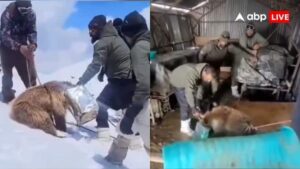 भारतीय सेना ने बर्फ में टिन के डिब्बे में फंसे हिमालयी भूरे भालू के बच्चे को बचाया, वीडियो सोशल मीडिया पर वायरल हो गया