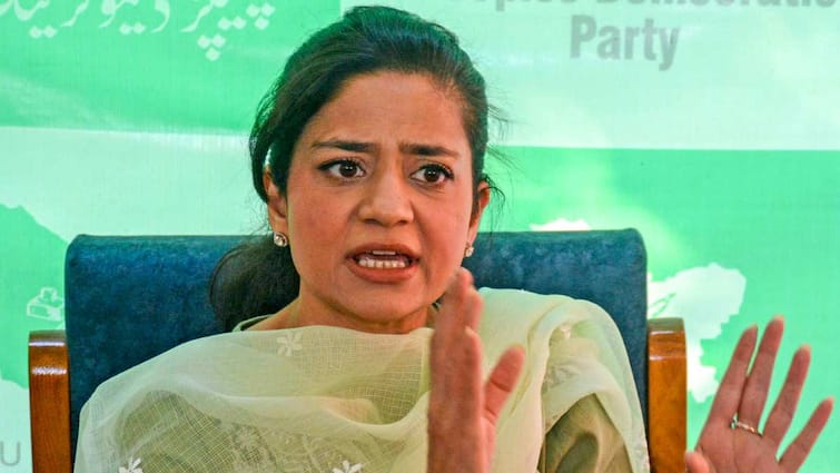 ‘अल्पसंख्यकों को मारने में हो रहा है हिंदू धर्म का इस्तेमाल’, युनिवर्सिटी को बीमारी का दावा मुफ्त में बोलें इल्तिजा