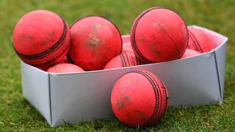 भारतीय क्रिकेट टीम गुलाबी गेंद टेस्ट रिकॉर्ड IND बनाम AUS दूसरा एडिलेड गुलाबी गेंद टेस्ट