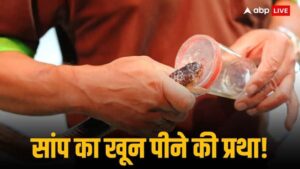 किस देश की सेना के सैनिक सांप का खून पीते हैं थाईलैंड कोबरा गोल्ड उत्तरजीविता प्रशिक्षण अमेरिकी नौसैनिक जंगल अभ्यास