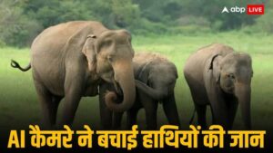एआई टेक्नोलॉजी राउरकेला ओडिशा में रेलवे ट्रैक पर हाथियों के झुंड का पता लगाकर उन्हें बचाती है