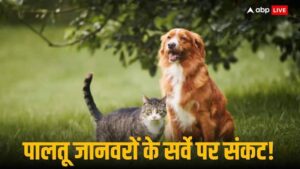 पश्चिम बंगाल पालतू पशु स्वामित्व सर्वेक्षण 21वीं पशुधन जनगणना पालतू कुत्ते बिल्लियाँ और पालतू जानवर