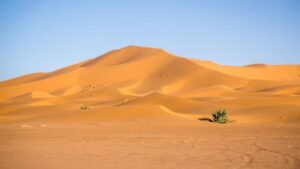 africa sahara world largest and hottest desert snowfall happens in the sahara desert
