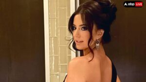 एशले सेंट क्लेयर इन्फ्लुएंसर का दावा है कि एलोन मस्क ने अपने पांच महीने के बच्चे के पिता टेस्ला के सीईओ 4 पेज लेटर का जवाब दिया