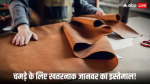 पाकिस्तान ने चमड़े का उत्पादन करने के लिए जैकोबाबाद में मगरमच्छ खेती शुरू की