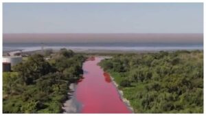 अर्जेंटीना नहर सरंडि नहर अचानक लाल हो जाती है इसका कारण