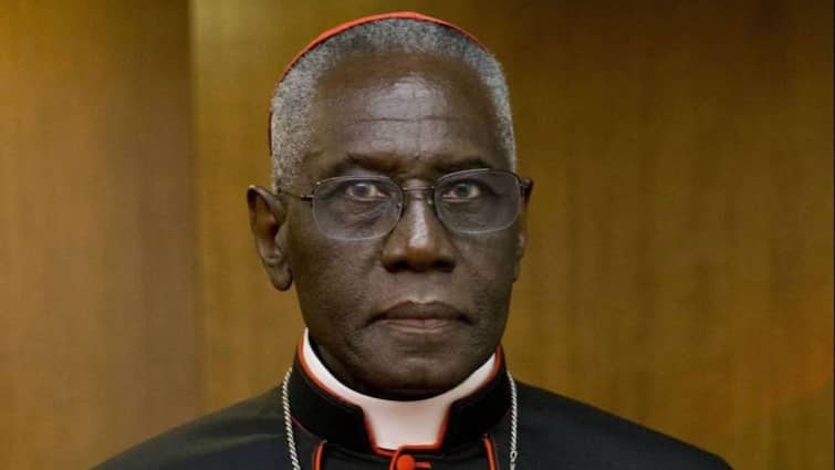 क्या कैथोलिक चर्च को मिलेगा पहला अफ्रीकी पोप? जानें पीटर टर्कसन की क्यों हो रही चर्चा