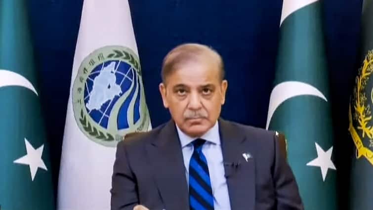 ‘पहलगाम हमले में हमारा कोई हाथ नहीं…’, UN महासचिव से फोन पर गिड़गिड़ाए शहबाज शरीफ, भारत को ले