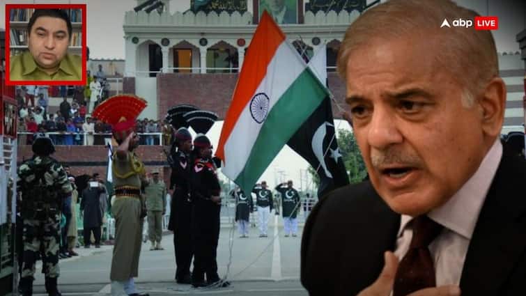 Pahalgam Attack: भारत के फैसलों से डरे PAK Expert, शहबाज सरकार से बोले- अरब देशों से बात करो…