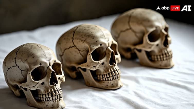 128 साल पहले फ्रांस ने किया था मेडागास्कर के राजा का सिर कलम, अब लौटाईं खोपड़ियां