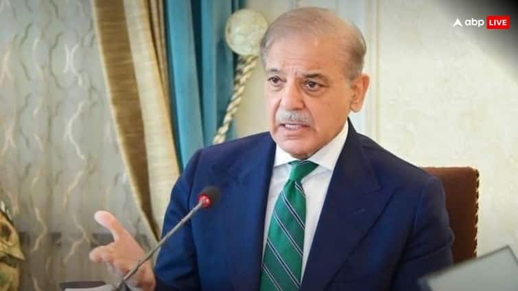 ’11 अरब डॉलर इस्तेमाल करने में नाकाम…’, अपनी सरकार पर क्यों भड़के PAK एक्सपर्ट