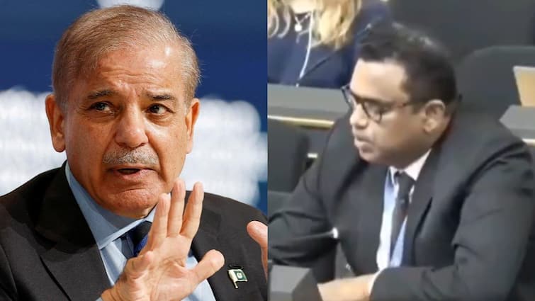 भारत ने बेनकाब किया पाकिस्तान का नापाक चेहरा! यूएन में अलापा कश्मीर राग तो बुरी तरह धोया