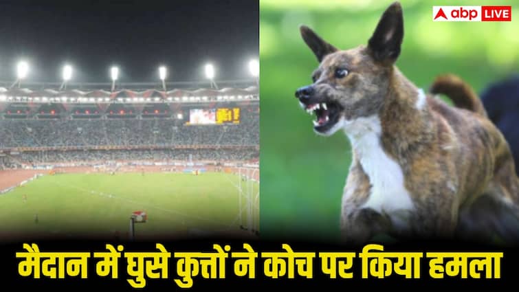पूरे स्टेडियम में मचा हड़कंप! आवारा कुत्तों ने कोचों पर किया हमला, तुरंत अस्पताल ले जाया गया
