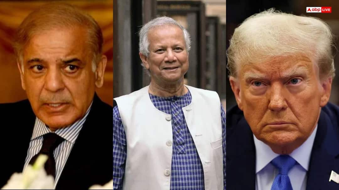 ‘अमेरिका और पाकिस्तान का एजेंडा…’, शेख हसीना की सजा पर बोले एक्सपर्ट्स; कठपुतली बन चुके हैं य