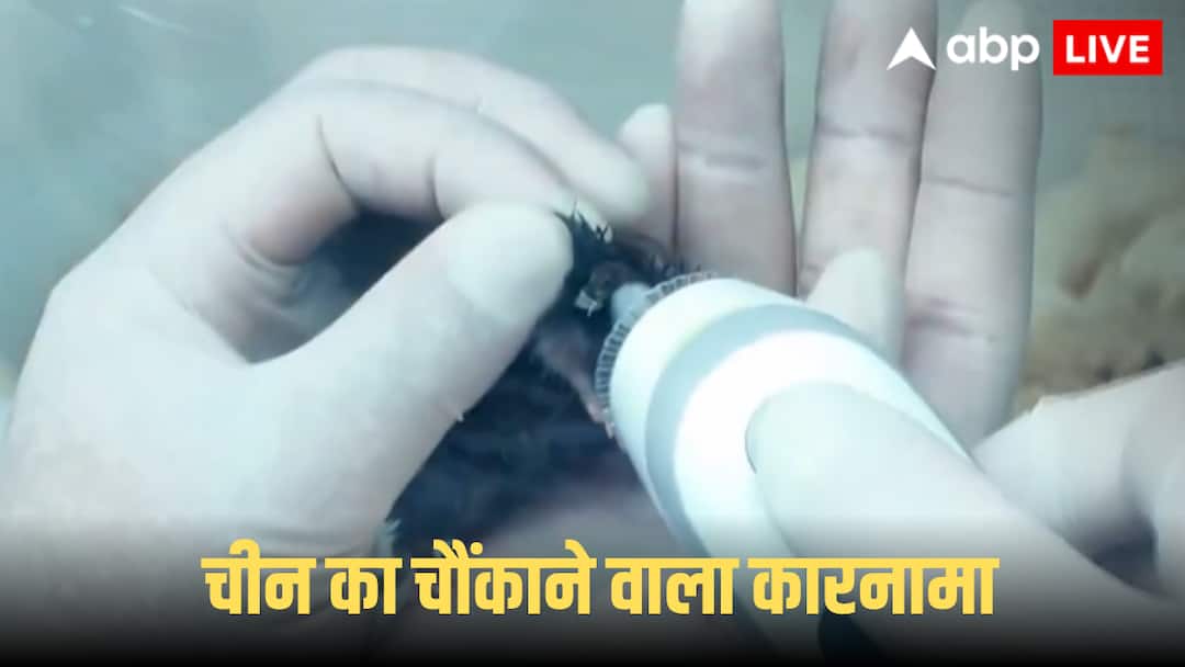 चीन ने अंतरिक्ष में क्यों भेजे थे चूहे, ड्रैगन के इस खास मिशन के पीछे क्या छिपा है राज, जानें