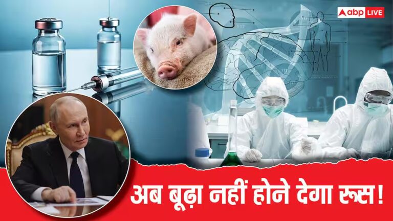 बुढ़ापे पर काबू और सुअर के अंदर इंसानी अंग! जवानी और ताकत के लिए पुतिन का नया प्रोजेक्ट क्या? बुढ़ापे पर काबू और सुअर के अंदर इंसानी अंग! जवानी और ताकत के लिए पुतिन का नया प्रोजेक्ट क्या?