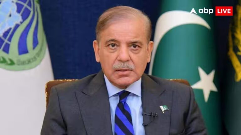 अफगानिस्तान में PAK की एयरस्ट्राइक पर भारत ने लगाई थी लताड़, अब शहबाज सरकार का आया रिएक्शन