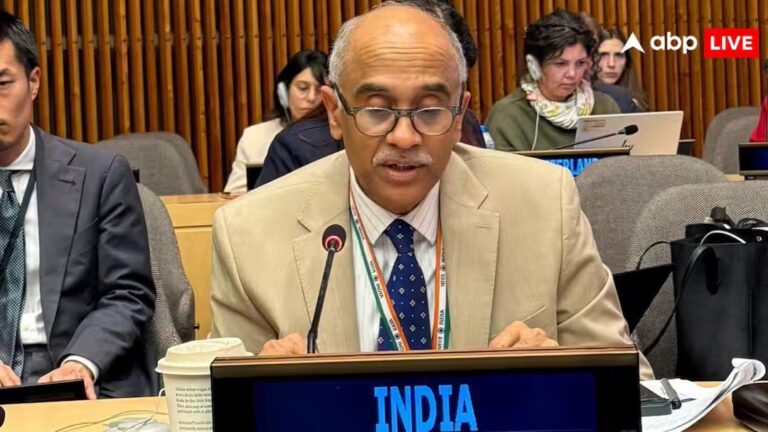 ‘भारतीय जहाजों पर हमले…’, UNSC में आगबबूला हुआ भारत, दी वॉर्निंग