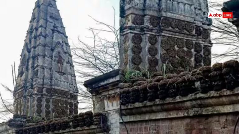 पाकिस्तान में TLP ने तोड़ा 100 साल पुराना मंदिर, मदरसा में मिलाया